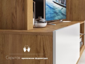 Гостиная Флекс в Миньяре - minyar.mebel74.com | фото 4