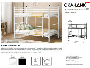 Кровать двухъярусная Скандик 42.20-01 в Миньяре - minyar.mebel74.com | фото 2