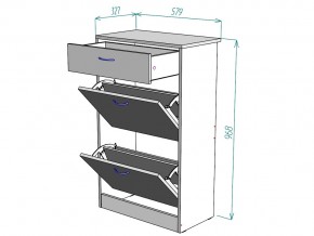 Обувница W21 в Миньяре - minyar.mebel74.com | фото 3