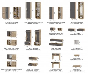 Прихожая Даллас Титан Силк в Миньяре - minyar.mebel74.com | фото 11