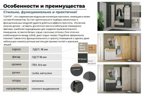 Прихожая Санти Антрацит в Миньяре - minyar.mebel74.com | фото 5