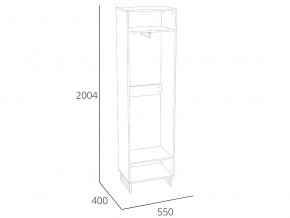 Шкаф для одежды Фолк НМ 014.01 в Миньяре - minyar.mebel74.com | фото 2