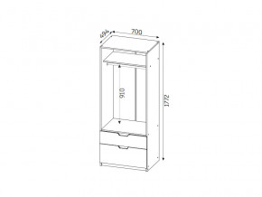 Шкаф с 2-мя ящиками ЛДСП Фаворит в Миньяре - minyar.mebel74.com | фото 2