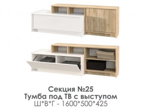 Тумба под ТВ с выступом Эдем-1 секция №25 в Миньяре - minyar.mebel74.com | фото 2