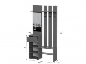 Вешалка с зеркалом Денвер Графит серый в Миньяре - minyar.mebel74.com | фото 2